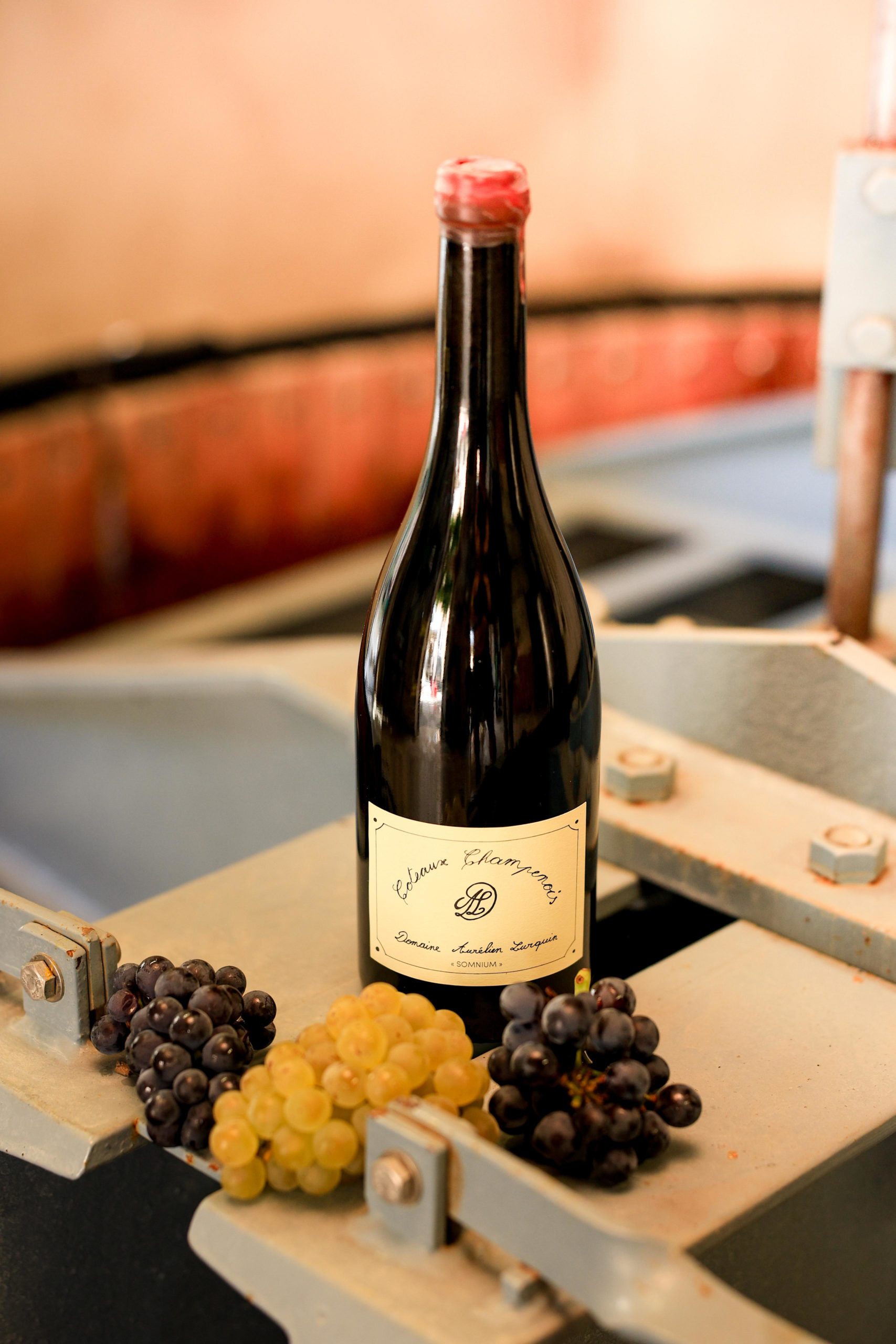Champagne Aurelien Lurquin Somnium Vins Vibrants Suisse Geneve